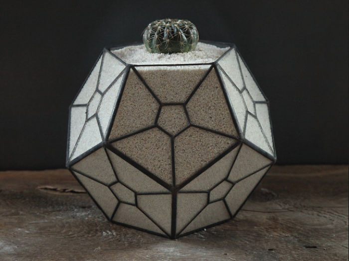 I Reimagined The Terrarium