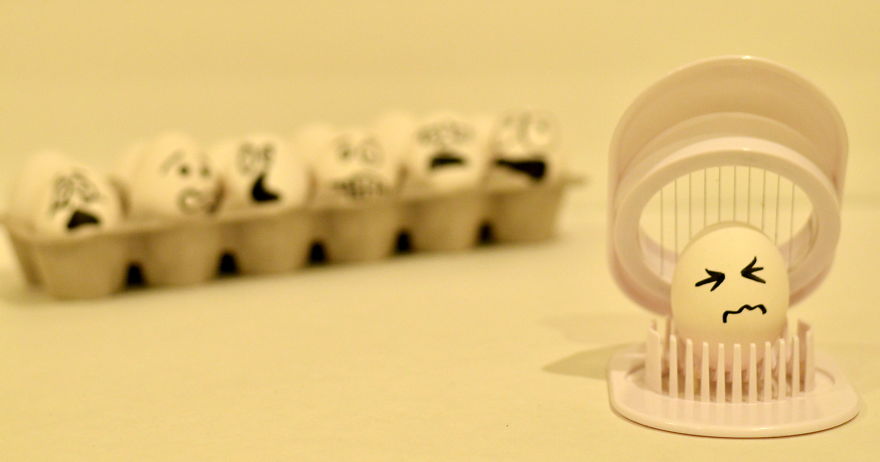 The Secret Life Of Eggs By Mysha Islam