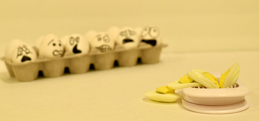 The Secret Life Of Eggs By Mysha Islam