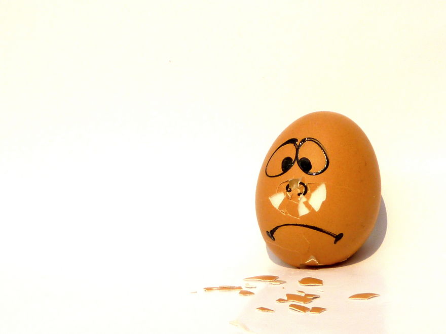 The Secret Life Of Eggs By Mysha Islam