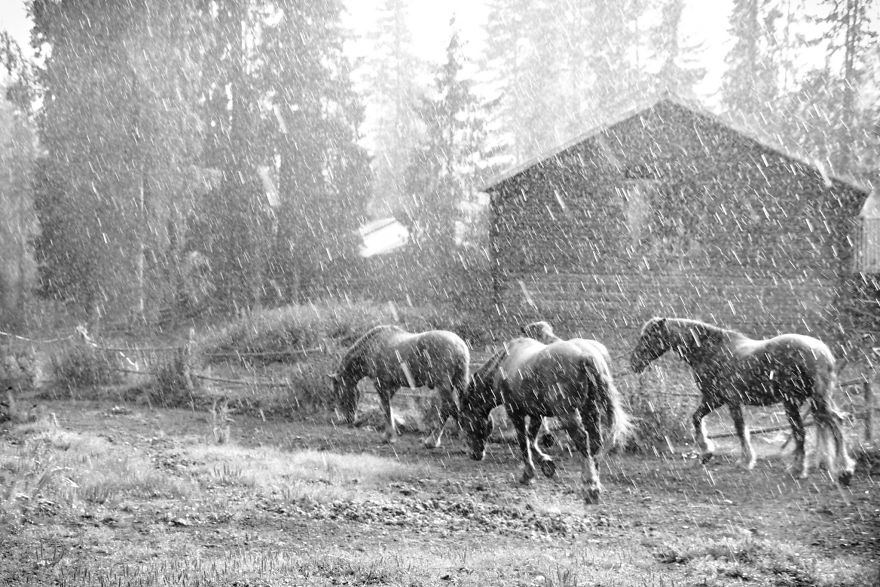 The Story Behind The Photo