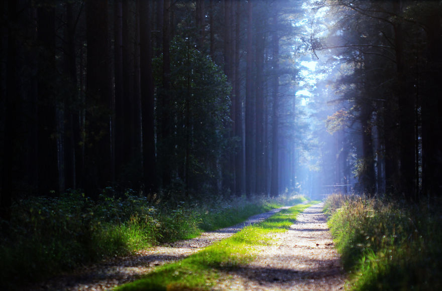 The Story Behind The Photo The Story Behind The Photo