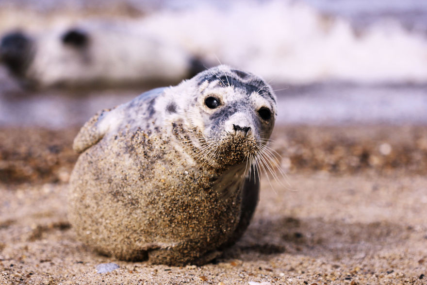 The Story Behind The Photo The Story Behind The Photo