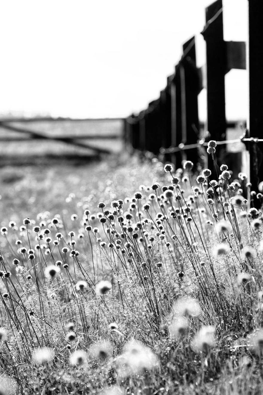 The Story Behind The Photo