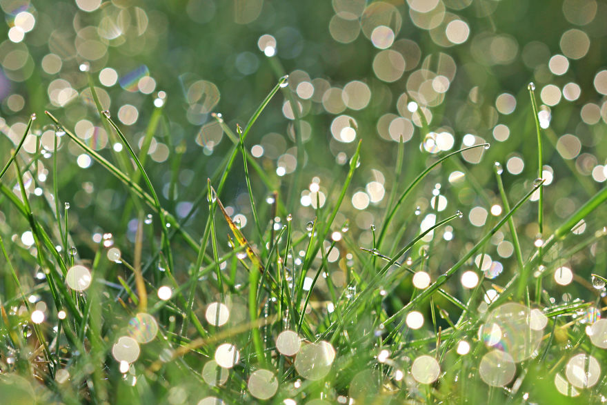 The Story Behind The Photo The Story Behind The Photo