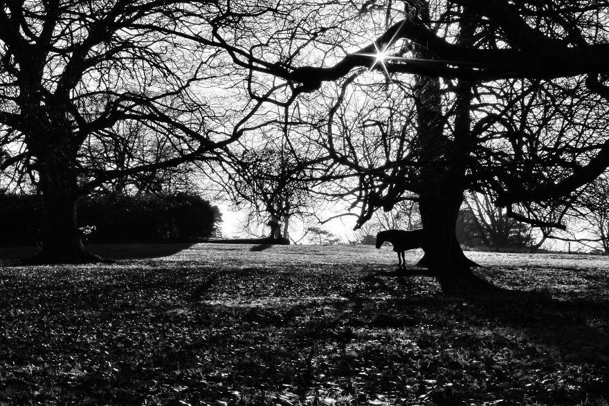 The Story Behind The Photo