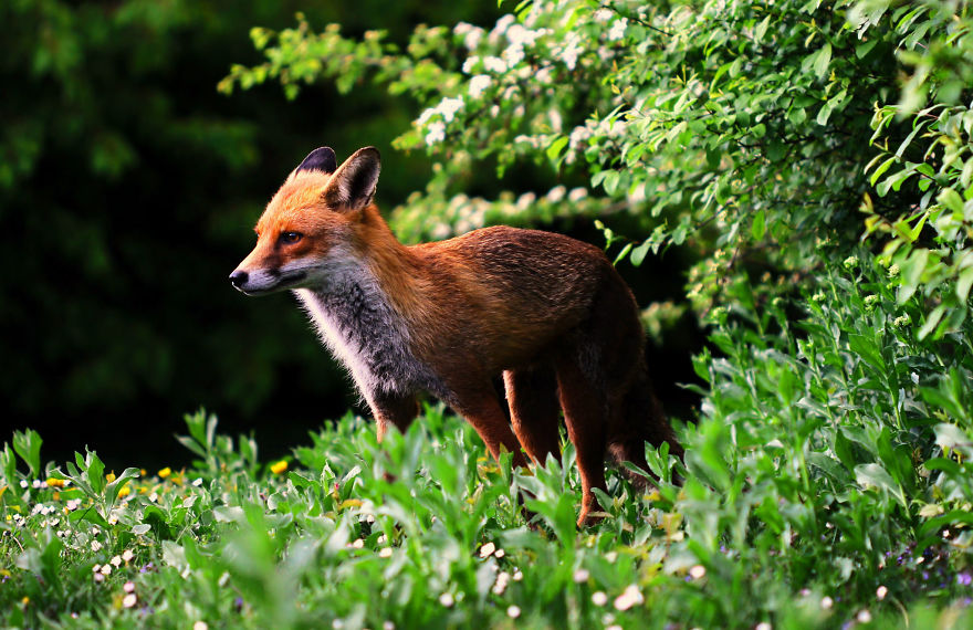 The Story Behind The Photo The Story Behind The Photo