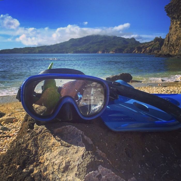 This Cheerful Gnome Is Travelling The World And He'll Make You Want To Travel Too