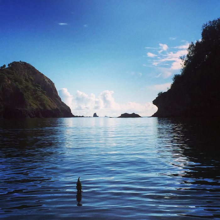 This Cheerful Gnome Is Travelling The World And He'll Make You Want To Travel Too This Cheerful Gnome Is Travelling The World And He'll Make You Want To Travel Too