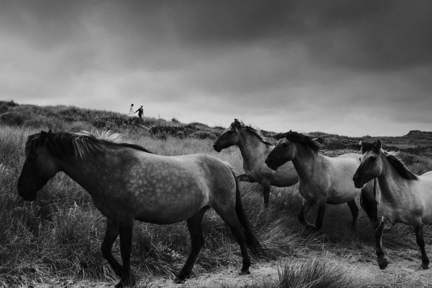 Bloemendaal Aan Zee, Netherlands