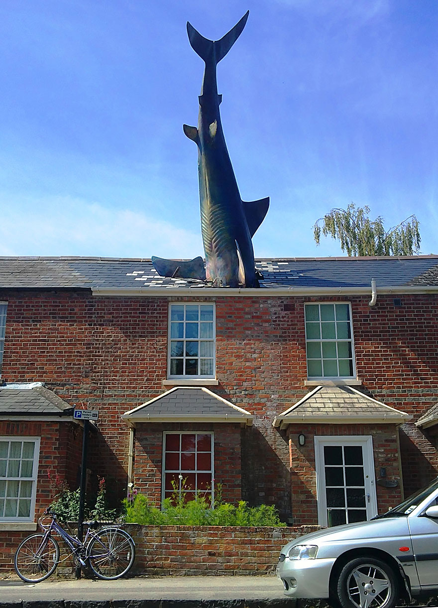 The Shark, Oxford, Uk