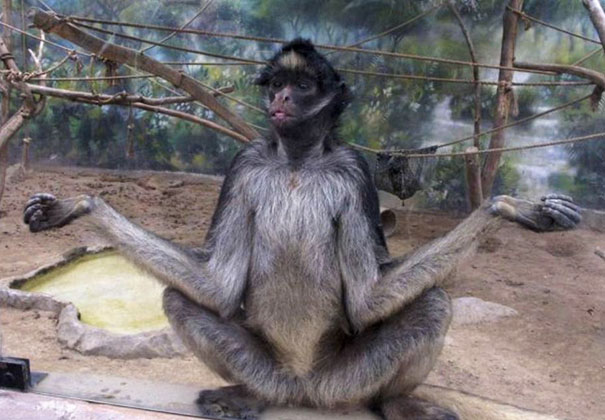 Concentrate And Try To Relax