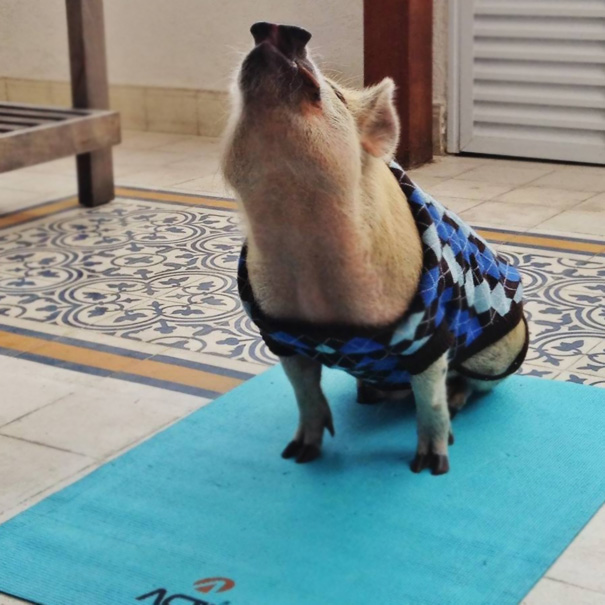 Let's Relax With A Little Yoga