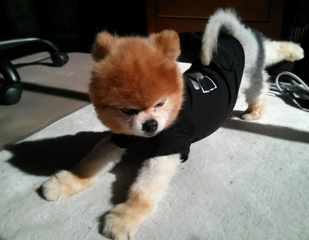 My Hairy Yoga Instructor