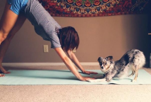 Yoga Buddies