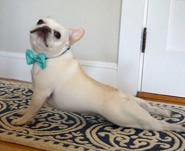 Proud To Be A Yoga Master