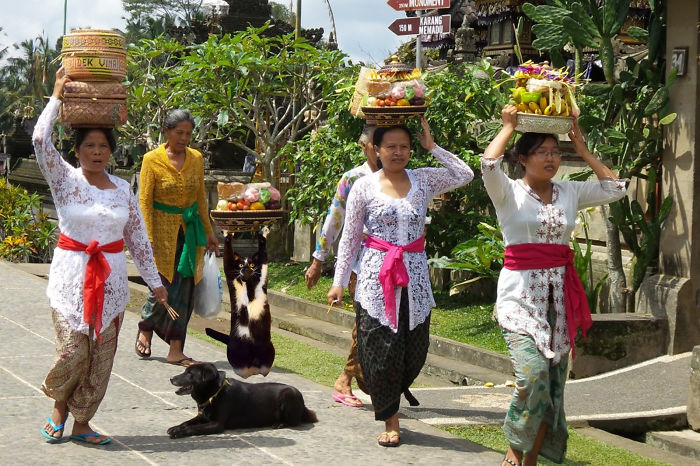 This Kitty Ready To Go To Temple
