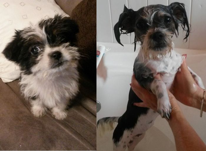 Before Vs. After Bath