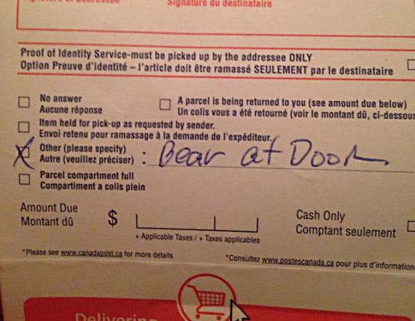 Reason For Non-Delivery