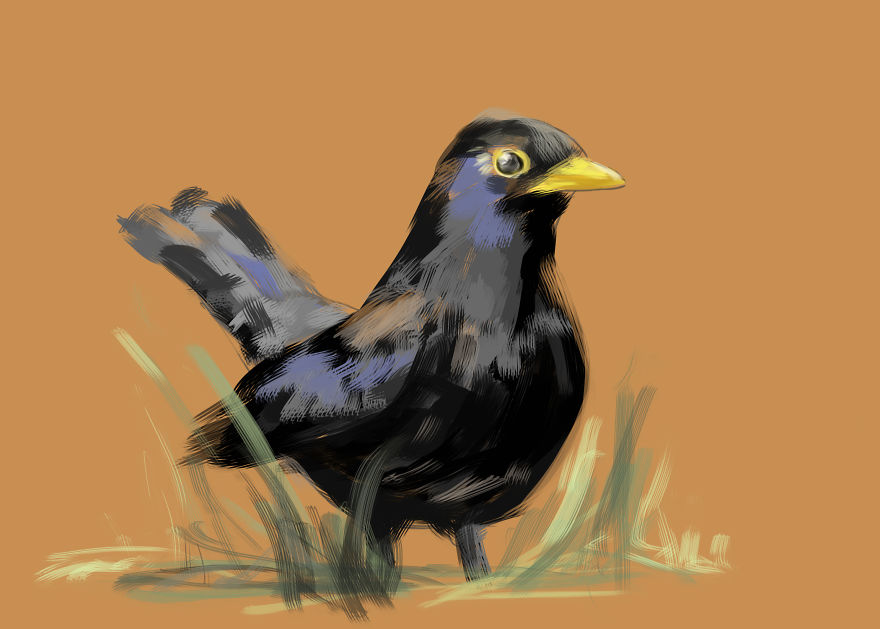 I Create Animal Drawings That Take Me Less Than 20 Minutes I Create Animal Drawings That Take Me Less Than 20 Minutes