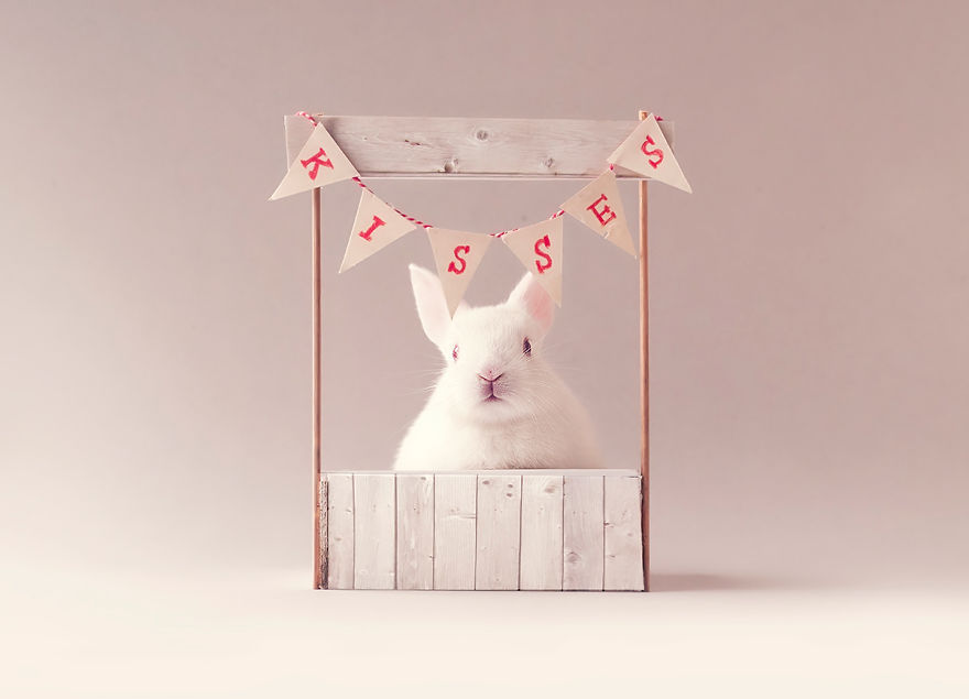 I Did A Newborn Photo Shoot With My Baby Bunny I Did A Newborn Photo Shoot With My Baby Bunny