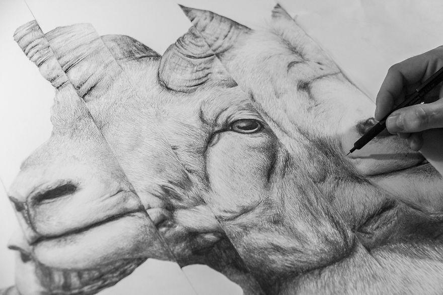 I Drew Some Distorted Animal Portraits