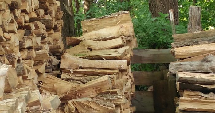 There’s No Way You’ll Find The Cat In This Pic In 10 Secs