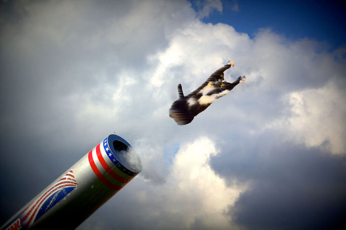 Shouldn't Have Joined The Circus