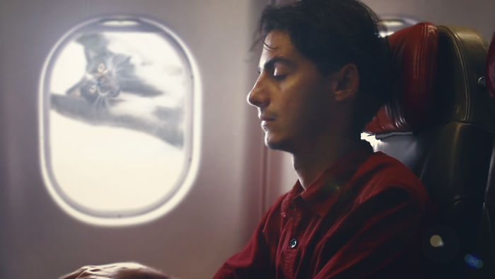 Catastrophe Waiting To Happen?! ...{sorry}