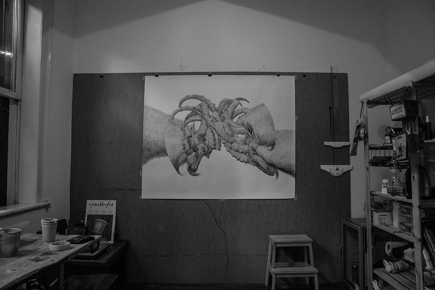 I Drew Some Distorted Animal Portraits I Drew Some Distorted Animal Portraits