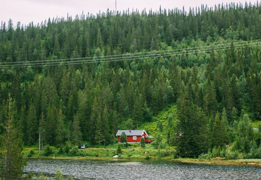 Red House In The Woods