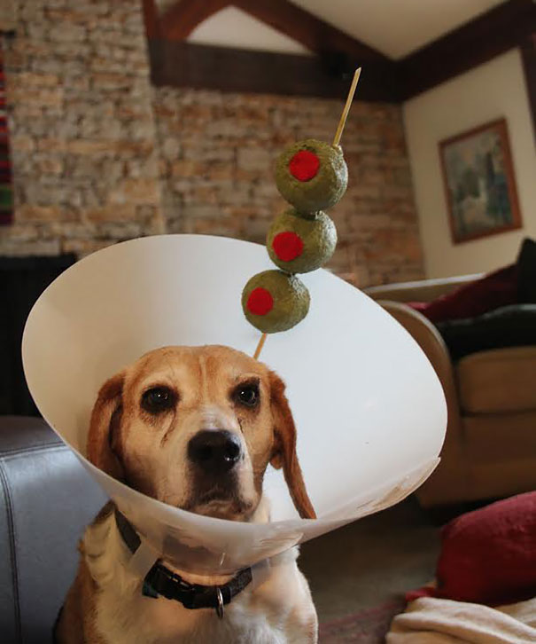Martini Dog