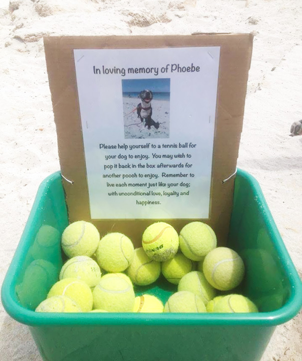 I Found This At My Local Dog Beach Today