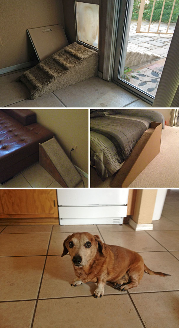 I'm Obviously A Shitty Carpenter, But My Dog Has Short Legs And He's Old