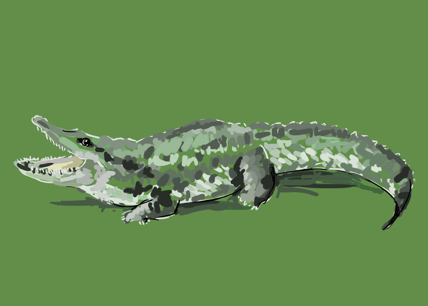 I Create Animal Drawings That Take Me Less Than 20 Minutes I Create Animal Drawings That Take Me Less Than 20 Minutes