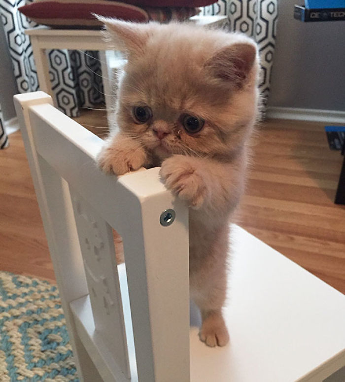 George Is Straight-up Ridiculous