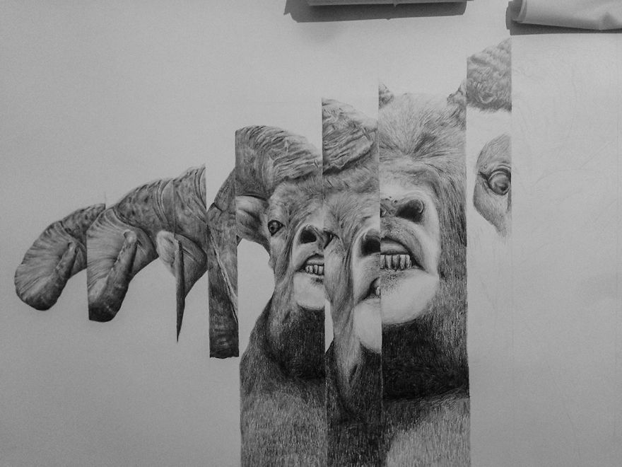 I Drew Some Distorted Animal Portraits I Drew Some Distorted Animal Portraits