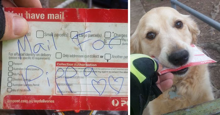 Dog Loves Getting Mail So Much That Postman Writes Her Letters Even When There’s No Mail