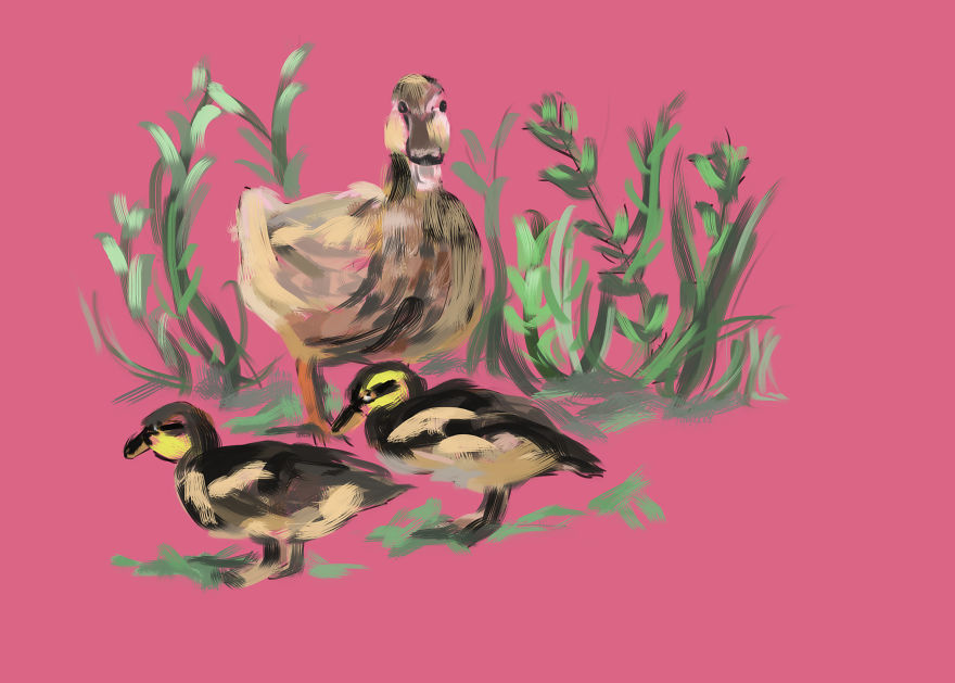 I Create Animal Drawings That Take Me Less Than 20 Minutes