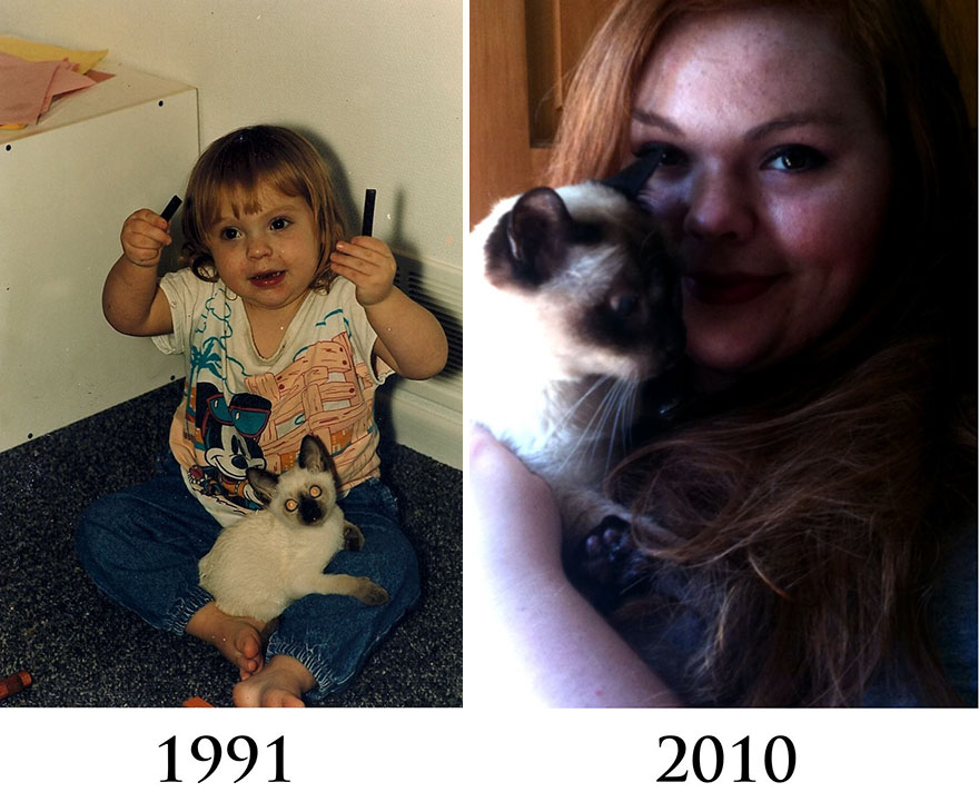 dying-cat-holds-hands-owner-andrew-1 dying-cat-holds-hands-owner-andrew-1