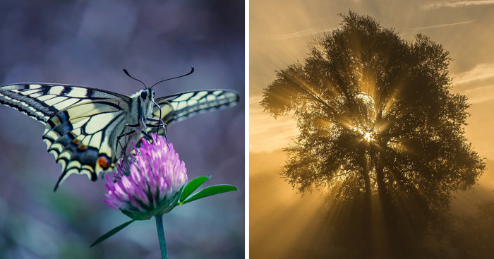 I Photograph The Beautiful Nature Of Poland