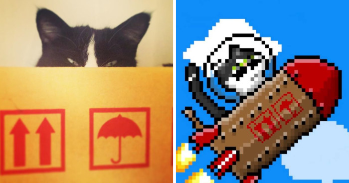 I Turned My Sick Cat Into Pixel Art And Send Her On A Grand Space Adventure