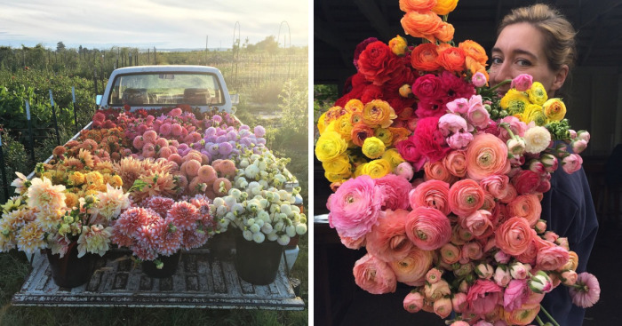 This Instagram Proves That A Florists’ Job Is The Best Thing Ever