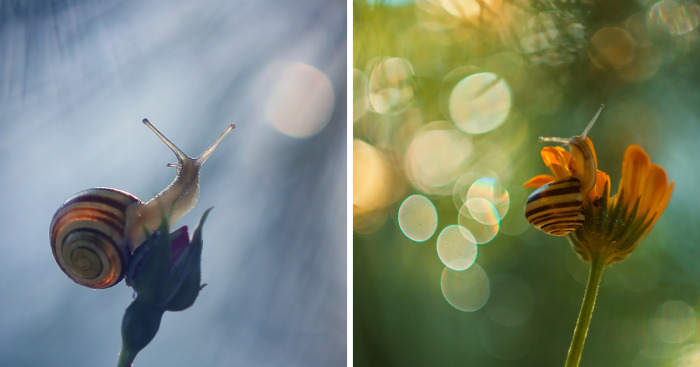 I Photograph The Beautiful Nature Of Poland