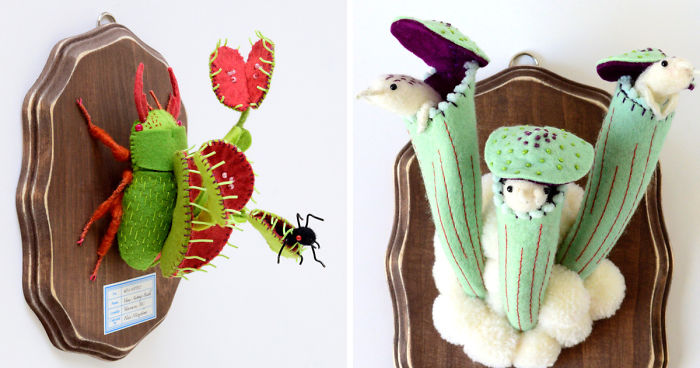 My Flora Insecta Series For Flora At Land Exhibition