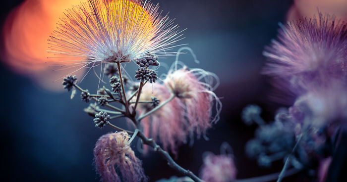 I Spent A Lot Of Time Processing My Photos… For Some Reason