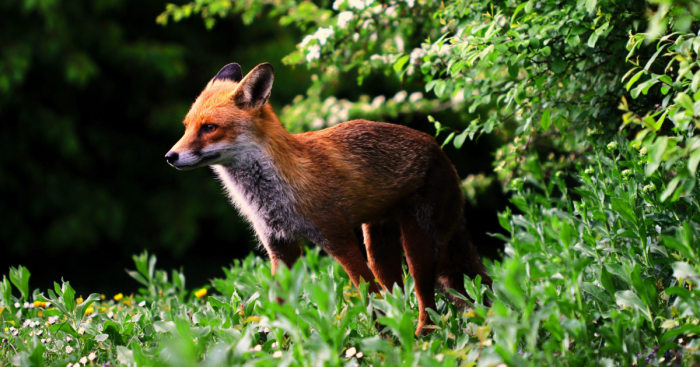 The Story Behind The Photo