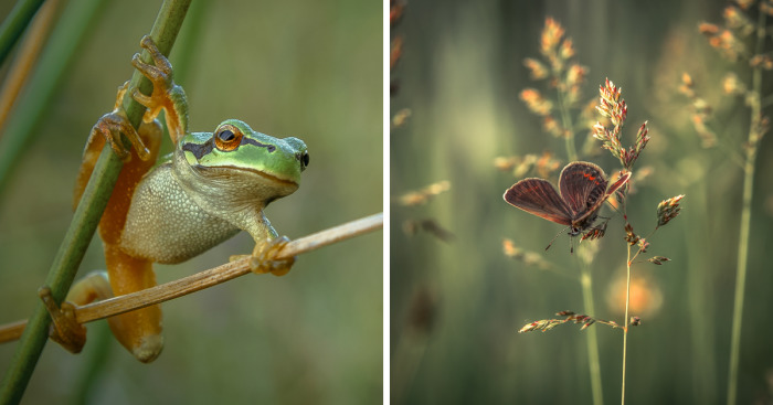 I Spend My Days Capturing The Raw Beauty Of Nature