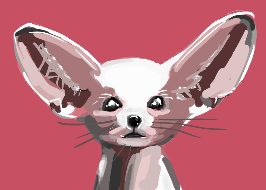 I Create Animal Drawings That Take Me Less Than 20 Minutes I Create Animal Drawings That Take Me Less Than 20 Minutes