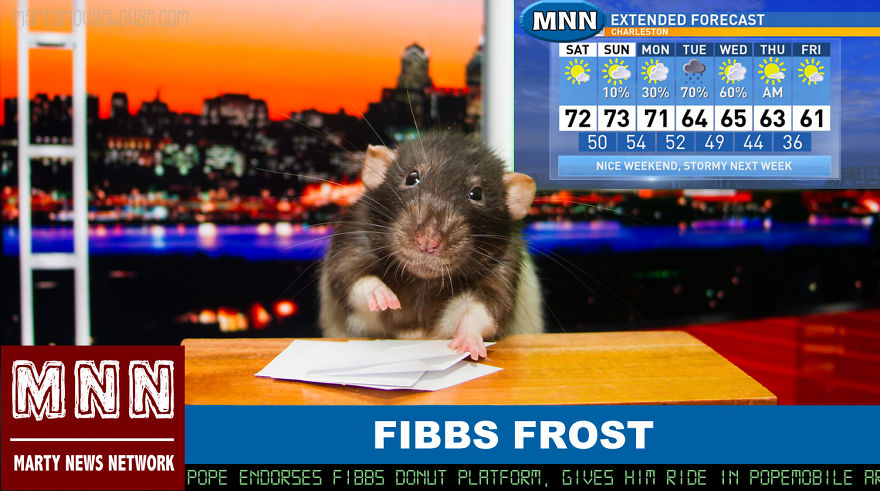 Vote Fibbs - The Best Candidate For President In This Crazy Election